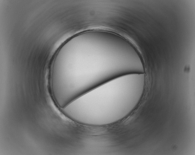 X0000114141007200910081021