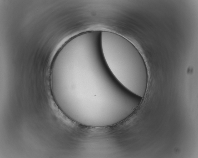 X0000114141008200910081021