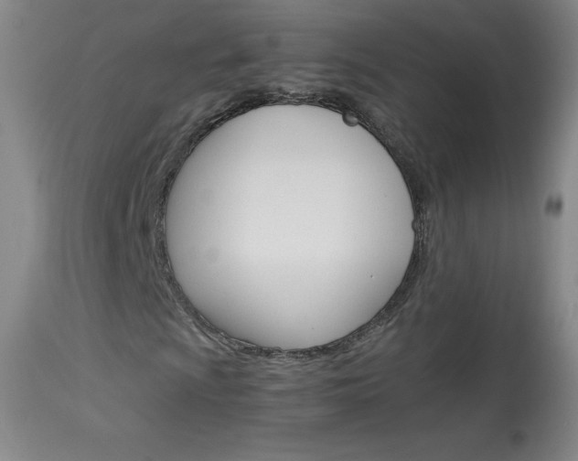 X0000114141009200910081021