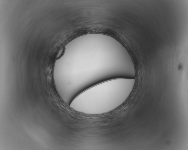X0000114141010200910081021