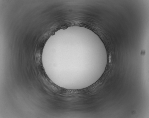 X0000114141011200910081021