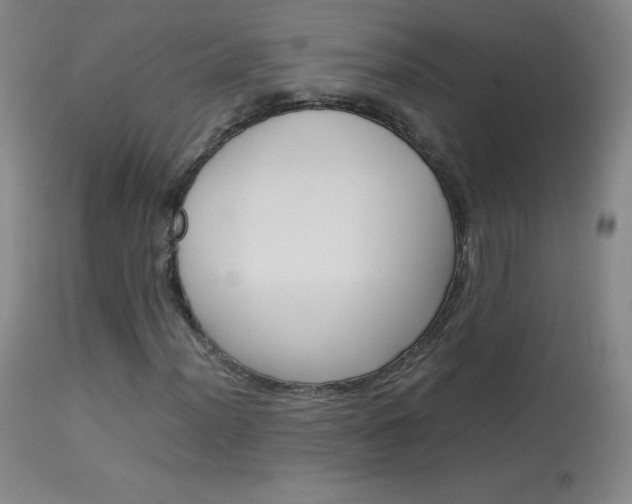 X0000114141012200910081021