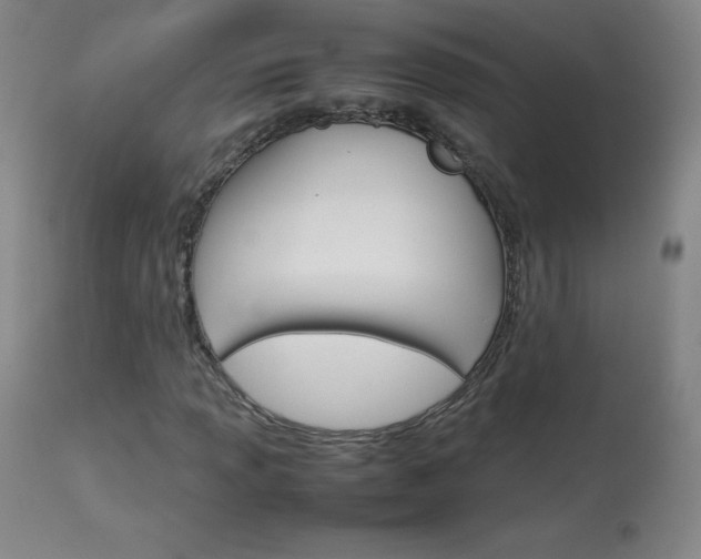 X0000114141013200910081021