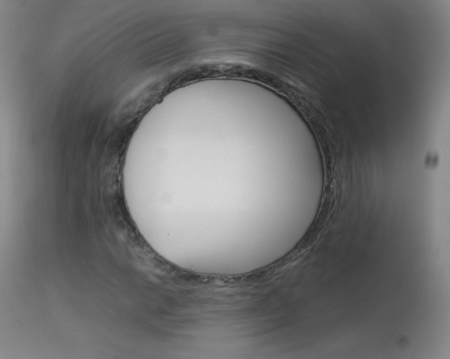 X0000114141014200910081021