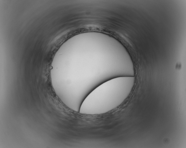 X0000114141015200910081021