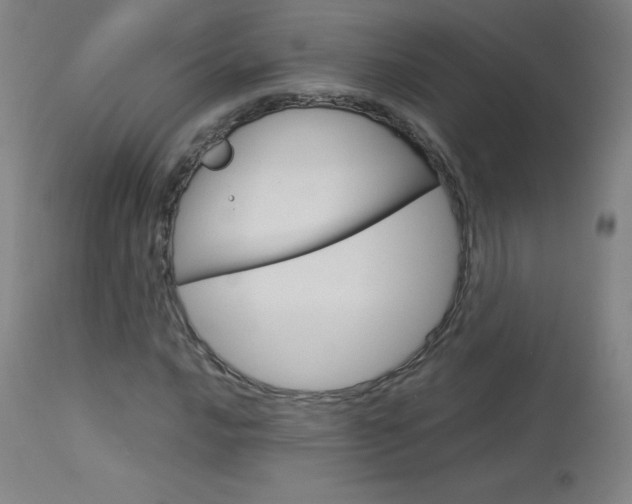 X0000114141016200910081021