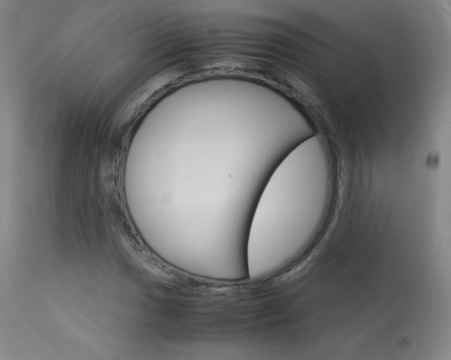X0000114141017200910081021