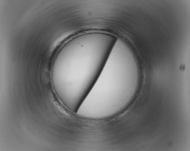 X0000114141018200910081021