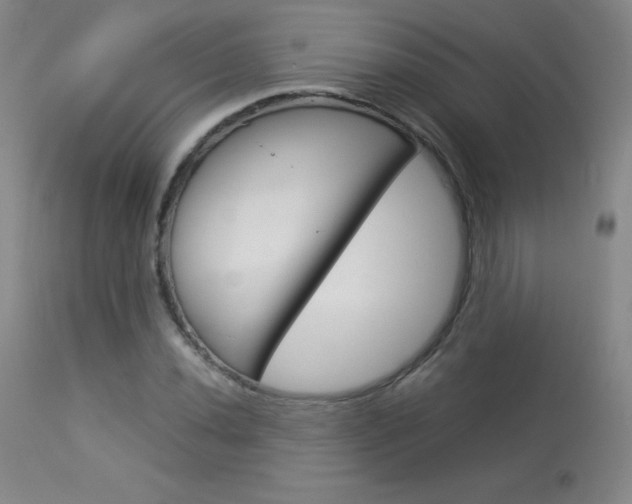 X0000114141020200910081021