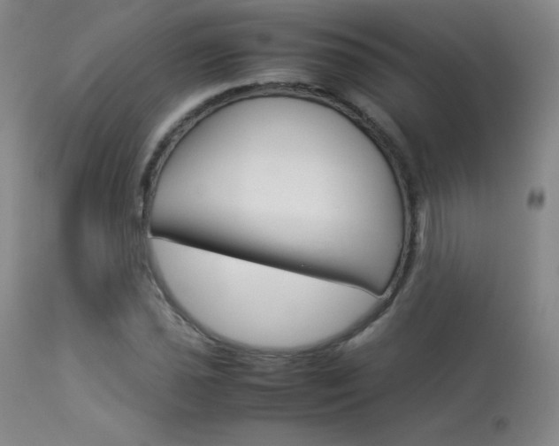 X0000114141021200910081021