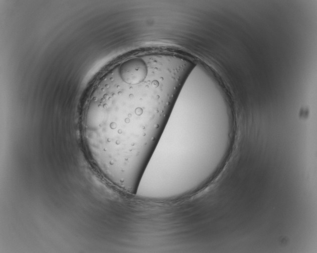 X0000114141022200910081021