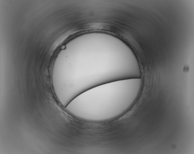 X0000114141023200910081021