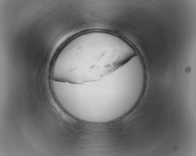 X0000114141024200910081021