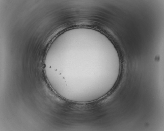 X0000114141025200910081021