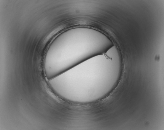 X0000114141026200910081021