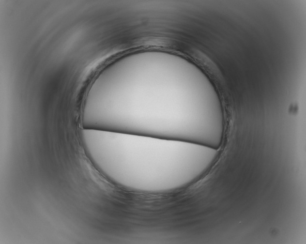X0000114141027200910081021