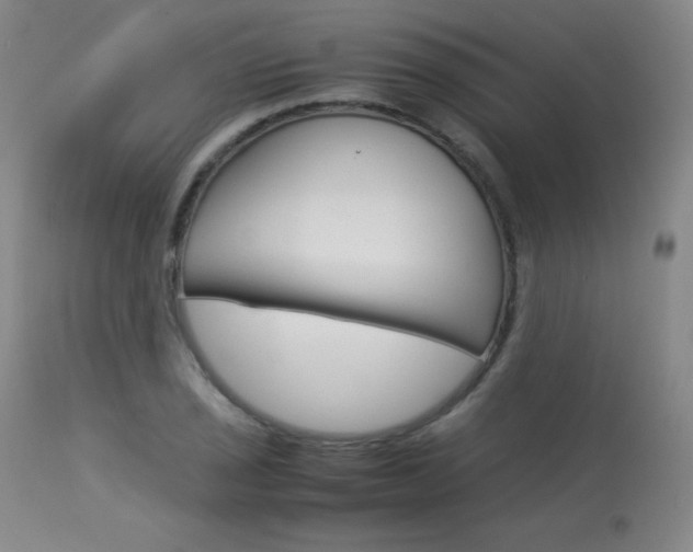 X0000114141029200910081021
