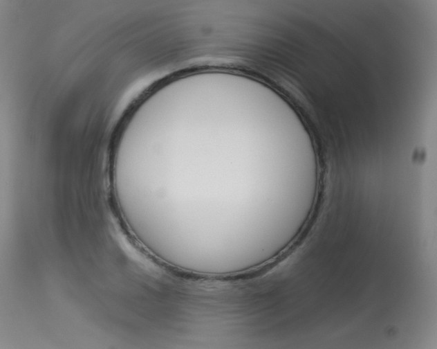 X0000114141030200910081021
