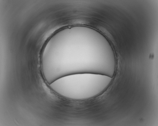X0000114141031200910081021