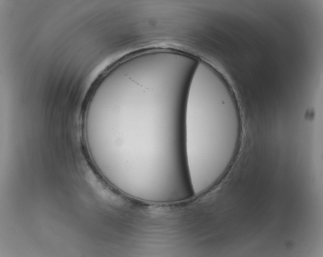 X0000114141032200910081021