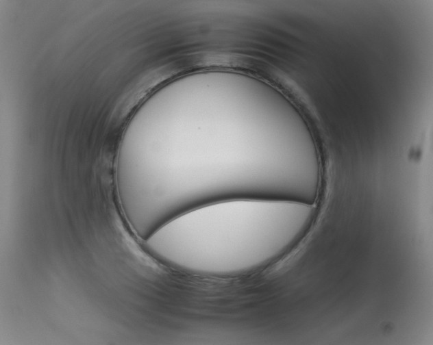 X0000114141033200910081021
