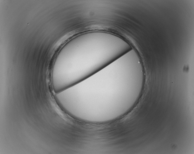 X0000114141034200910081021
