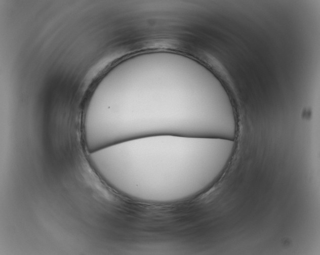 X0000114141035200910081021