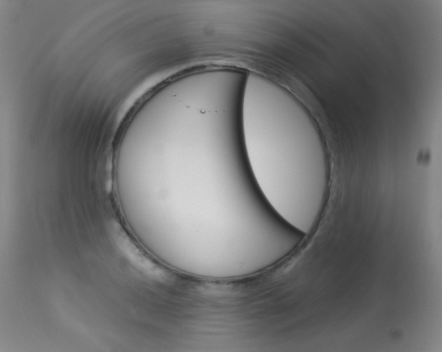 X0000114141036200910081021