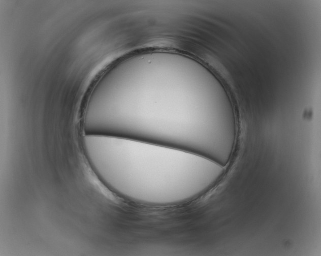 X0000114141037200910081021
