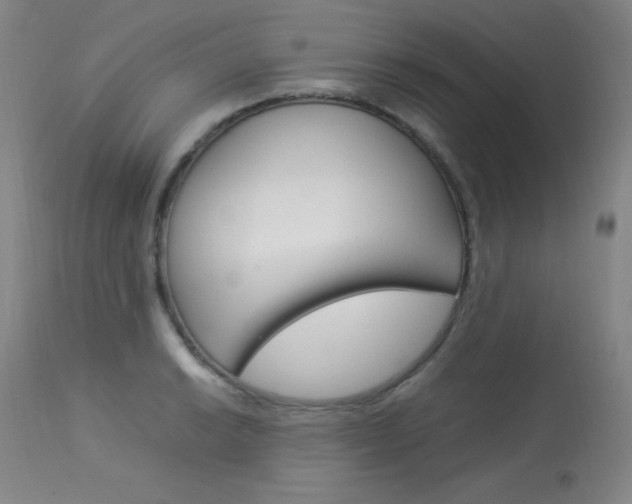X0000114141038200910081021