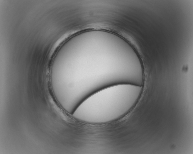 X0000114141040200910081021