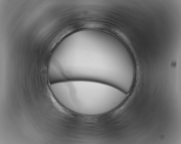 X0000114141041200910081021