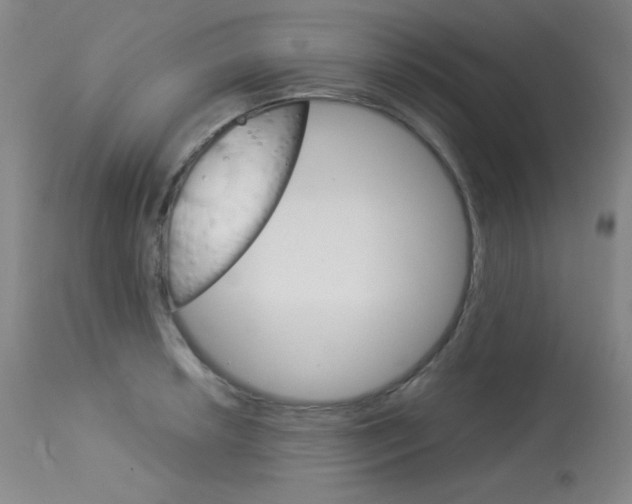 X0000114141042200910081021