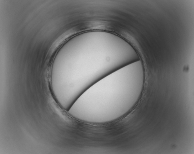 X0000114141043200910081021