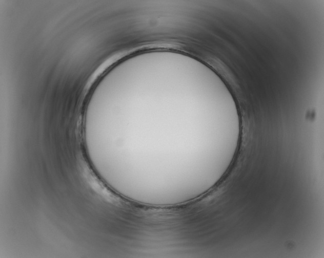 X0000114141044200910081021