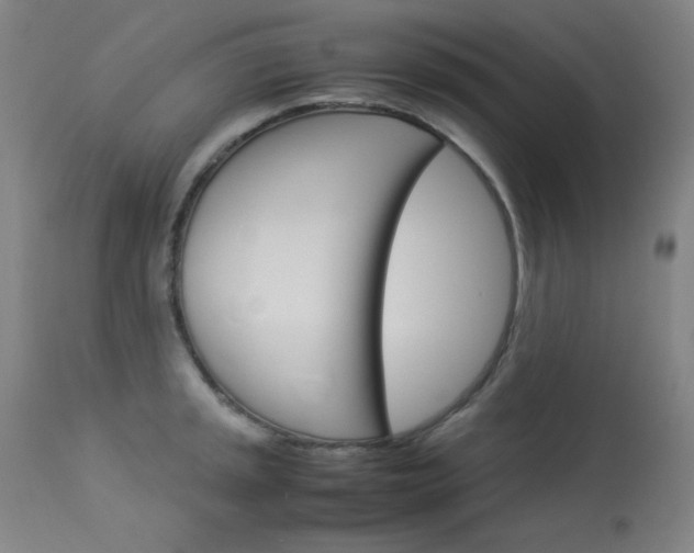 X0000114141045200910081021