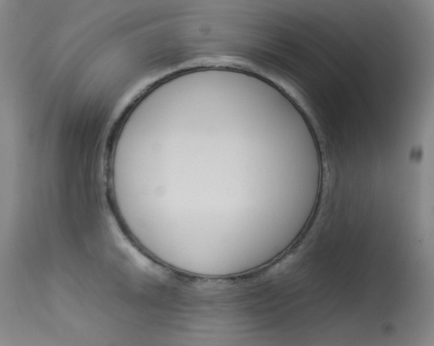 X0000114141046200910081021
