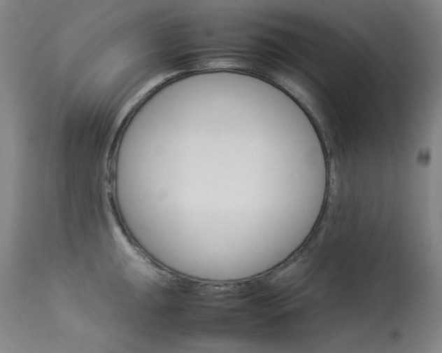 X0000114141047200910081021