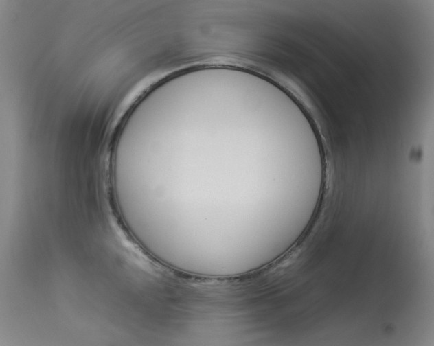 X0000114141048200910081021