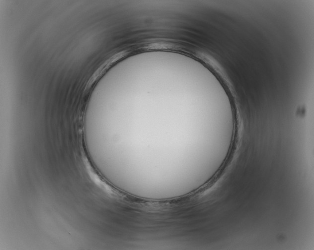 X0000114141049200910081021