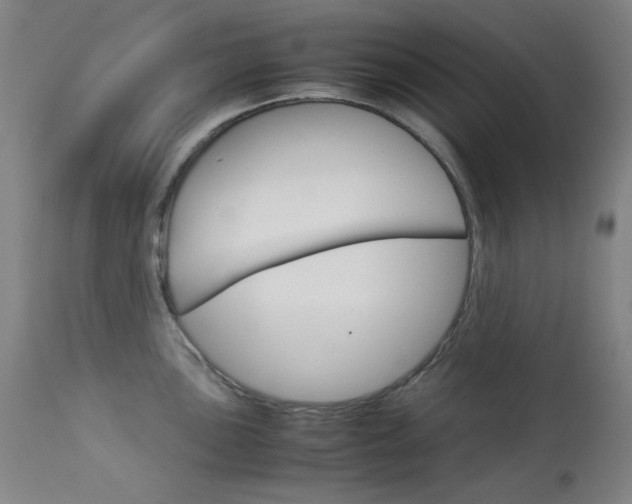 X0000114141051200910081021