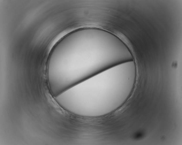 X0000114141052200910081021