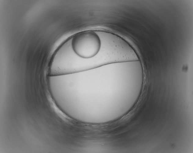 X0000114141054200910081021