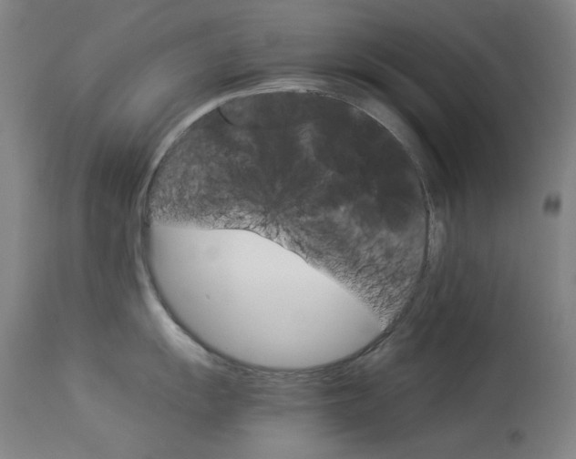 X0000114141055200910081021