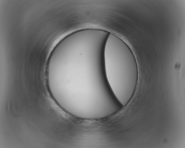 X0000114141056200910081021