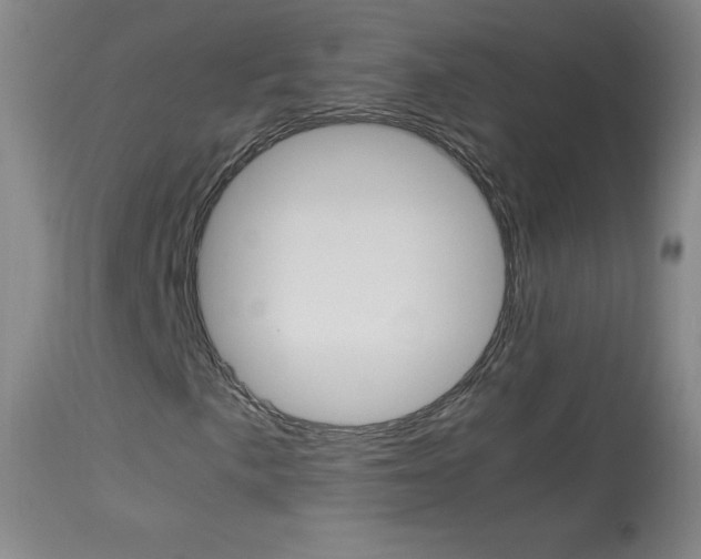 X0000114141057200910081021