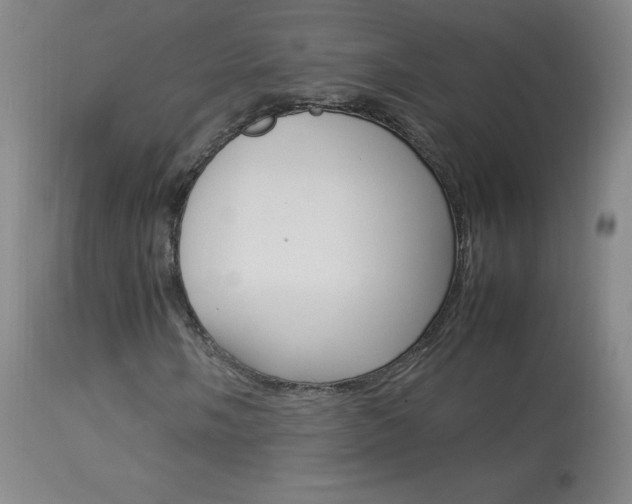 X0000114141058200910081021