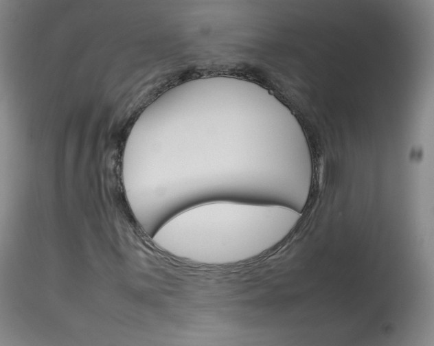 X0000114141059200910081021