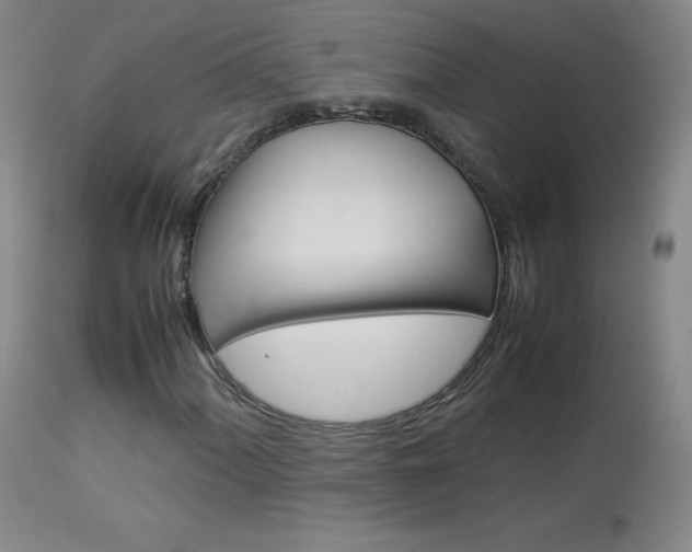 X0000114141060200910081021