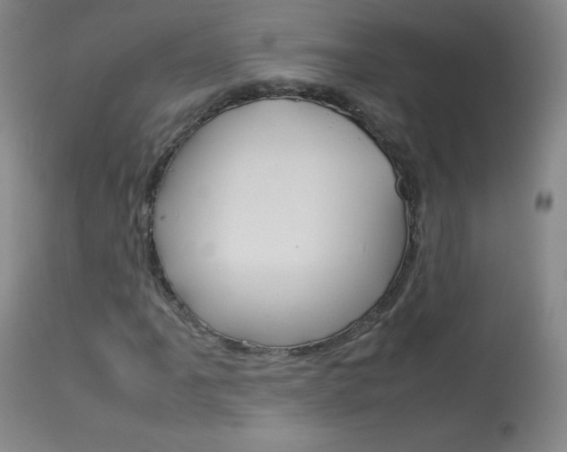 X0000114141061200910081021